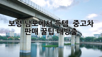 보령 남포에서 득템?! 🚗 중고차 판매 꿀팁 대방출!